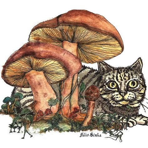 Mushroom and Cat by felissimha | Cat art, Cat art print, Cat drawing