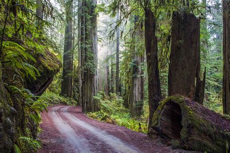 Top 10: Best wild and beautiful hikes in Southern Oregon