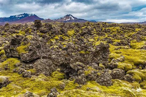 Lava Fields in Iceland | Arctic Adventures