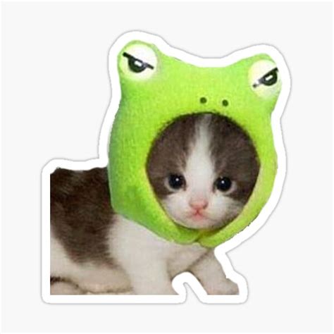 "cat in frog hat" Sticker by CommrAlix | Redbubble