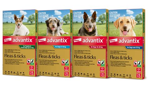 Advantix for dogs kills fleas and ticks on contact