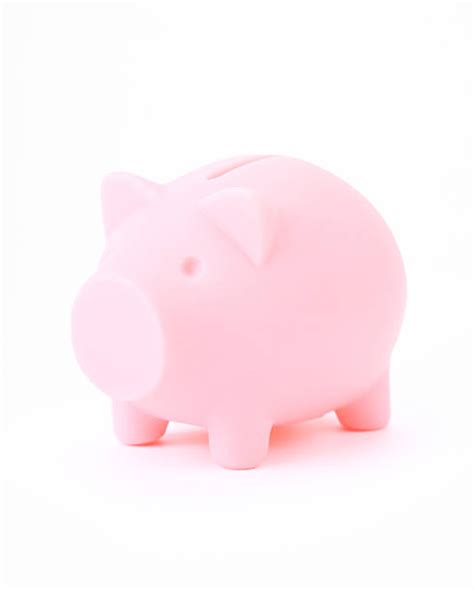 Royalty Free Fat Piggy Bank Pictures, Images and Stock Photos - iStock