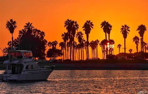 the sun is setting behind palm trees and boats on the water in front of ...