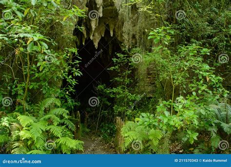 Hidden cave entrance stock image. Image of large, rock - 211570343