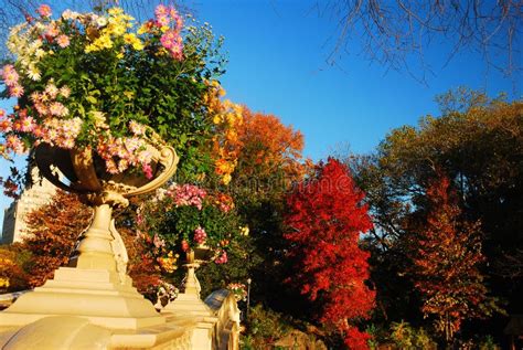 Autumn, Bow Bridge, Central Park Editorial Photography - Image of daytime, america: 76066347