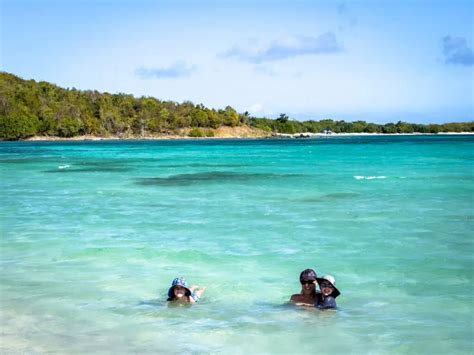 The 9 Best Beaches in Vieques, Puerto Rico - Family Can Travel