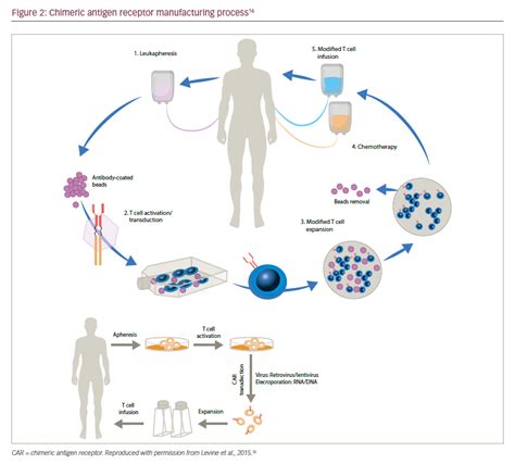 Does A Pet Scan Show Cancer In Brain