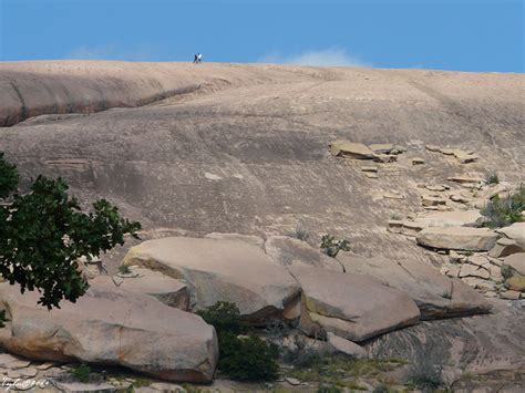 Fredericksburg Texas Culture Blog: Enchanted Rock State Natural Area ...