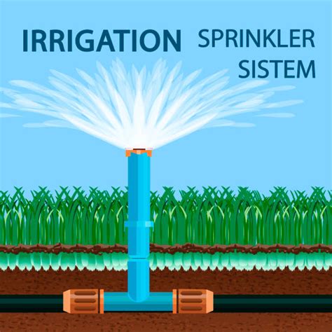 Drip Irrigation Cartoon Illustrations, Royalty-Free Vector Graphics & Clip Art - iStock