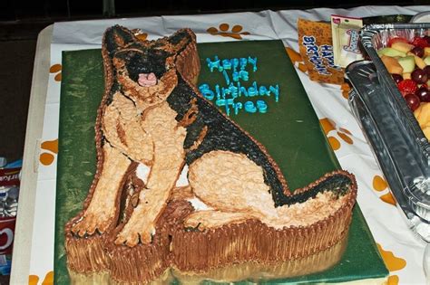 German Shepherd birthday cake for my son's 1st birthday party. Puppy Birthday Cakes, Dog First ...