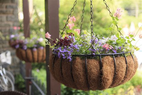 How to Plant a Perfect Hanging Basket | Hanging basket garden, Hanging flower baskets, Container ...