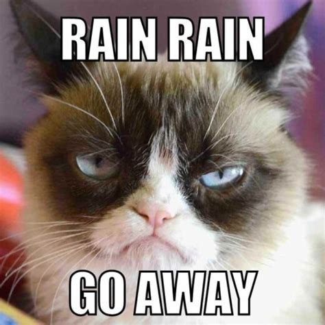 35 Funny Rain Memes To Shower You With Chuckles