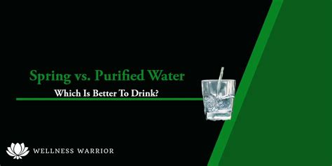 Spring Water vs. Purified Water – Which Is Better?