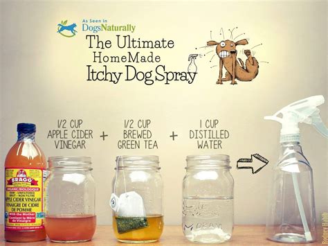 Pin by Karinna Faraon Chaul on Pets | Itchy dog, Dog spray, Itchy dog spray