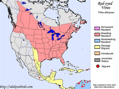 Red-eyed Vireo - Species Range Map