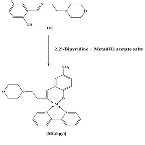 (PDF) Novel schiff base metal complexes from morpholine derivatives as ...