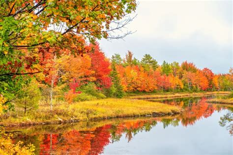 236 Bar Harbor Fall Foliage Stock Photos - Free & Royalty-Free Stock ...