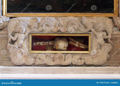 Relics of the Roman Martyr, Altar of Holy Cross in the Church of Saint ...