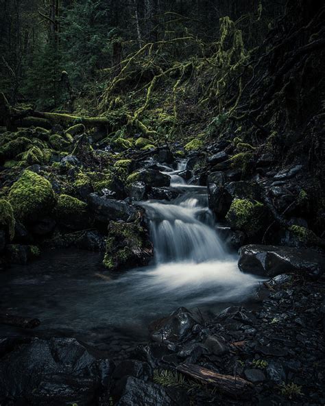 Hoh Rainforest Waterfall in the Olympic National Park Photograph by Sean Comiskey - Pixels