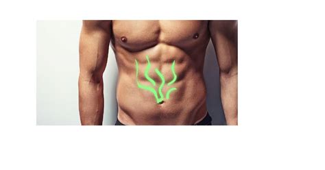 Best Probiotics For Men : Benefits, Uses And More