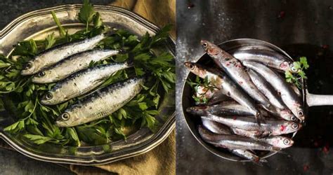 Anchovies vs Sardines: What’s The Difference? Let’s Compare