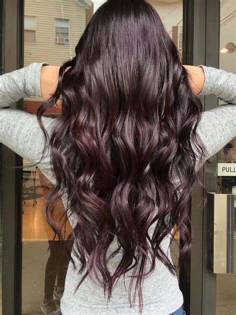 Dark Plum Hair | Dark plum hair, Dark purple hair, Plum hair