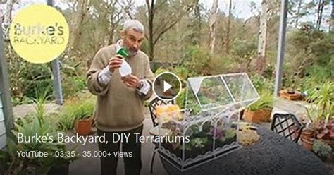 Don Burke shows how to set up and plant out your own terrarium, a miniature garden in a glass ...