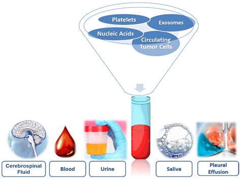 Diagnostics | Free Full-Text | Liquid Biopsy as Novel Tool in Precision Medicine: Origins ...