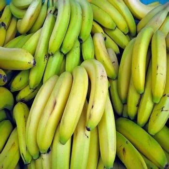 Cavendish Bananas at best price in Dharmapuri by Varma Tropical Exports ...