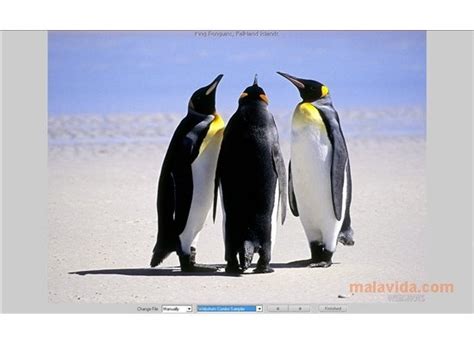 WebShots Desktop 3.1 - Download for PC Free