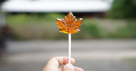 Canadian Candy - Best Treats to Follow Your Tastebuds - Snack History