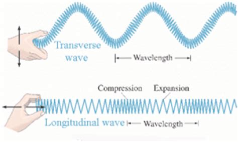 How Are Transverse and Longitudinal Waves Alike and Different - BricegroBuck