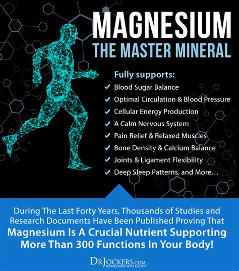 Brain Calm Magnesium – Dr. Jockers Store