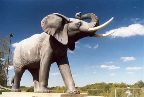 Jumbo the elephant was the world's first animal superstar, but human ignorance caused tragedy