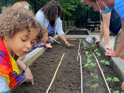 Hackley Alumni - Our Lower School garden is in full swing... | Facebook