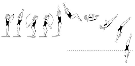 Diving positions | Platform and springboard diving