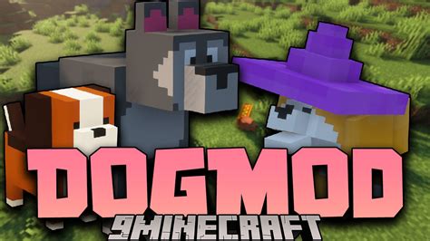 Dog Mod (1.16.5) – New Variants of a beloved companion - 9Minecraft.Net