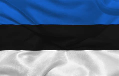 Flag of Estonia - Photo #8227 - motosha | Free Stock Photos