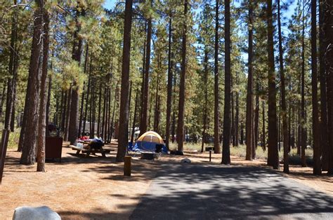 Lake Tahoe: Nevada Beach Campground — Pet Friendly Travel