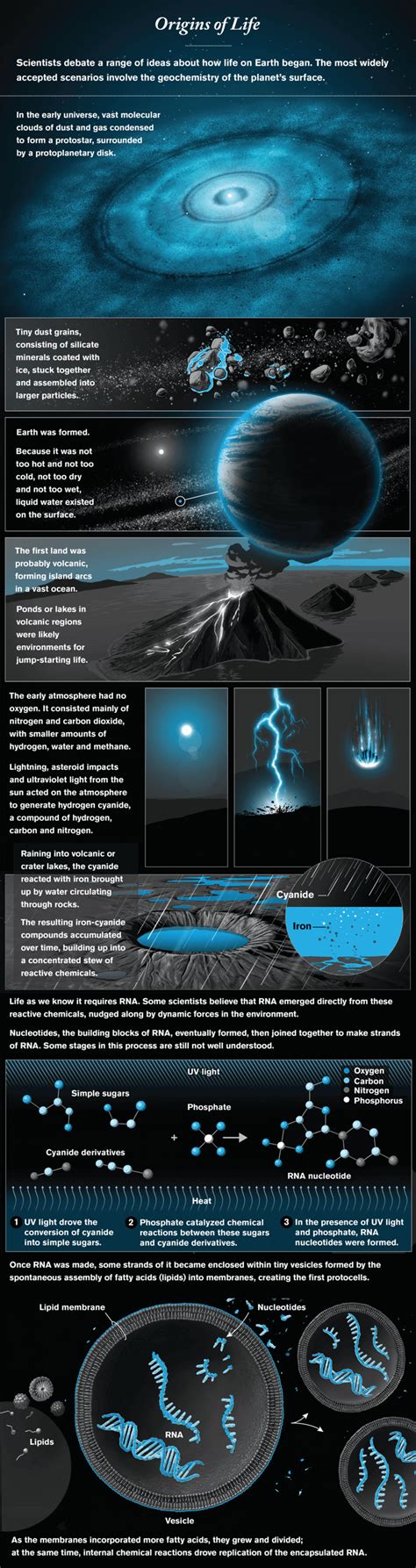 Answers in Genesis: What Young Earth Creationism Gets Wrong – For ...