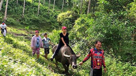 MOUNTAIN LIFE | BUHAY BUKID | RIDING WATER BUFFALO | PHILIPPINES VLOG ...