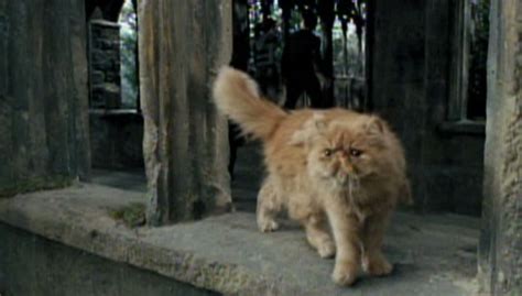 Harry Potter and the Prisoner of Azkaban (2004) - Cinema Cats