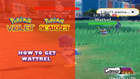 Pokemon Scarlet And Violet: How To Get Wattrel - GamerHour