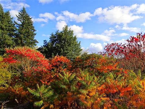 Casing Oregon: Portland's Washington Park: The Hoyt Arboretum