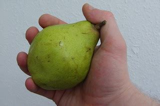 holding a pear | This is a photo of a hand holding a pear | Richard North | Flickr