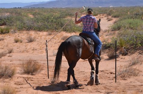 Functional Horsemanship: Arena Obstacle Challenge - September 2015