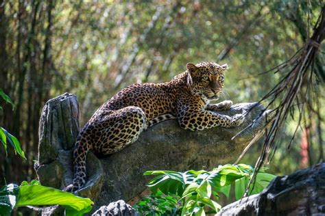 The Best Wildlife Sanctuaries in California