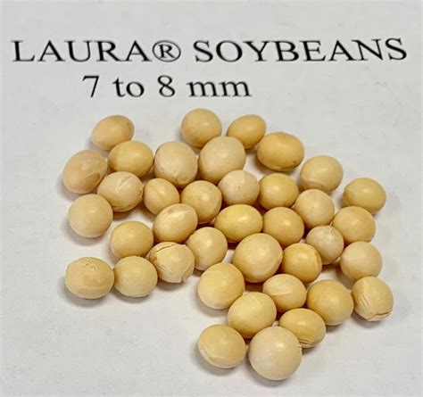 13lb Non-GMO Soybeans For Sale - Laura® Soybeans