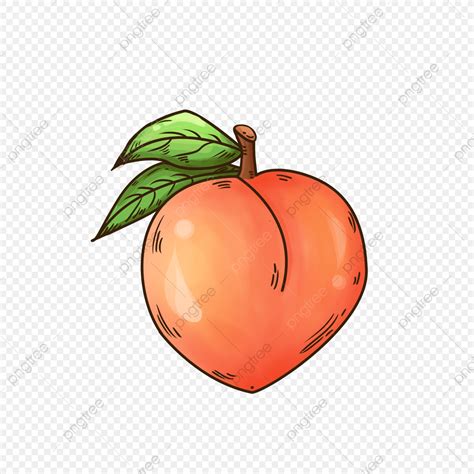 Sweet Orange White Transparent, Sweet Orange Peaches Clip Art, Orange ...