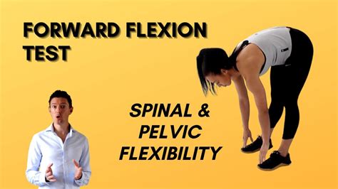 Forward Flexion Test - Spinal & Pelvic Flexibility... - YouTube